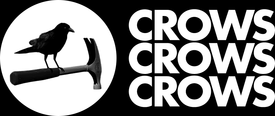 Crows Crows Crows