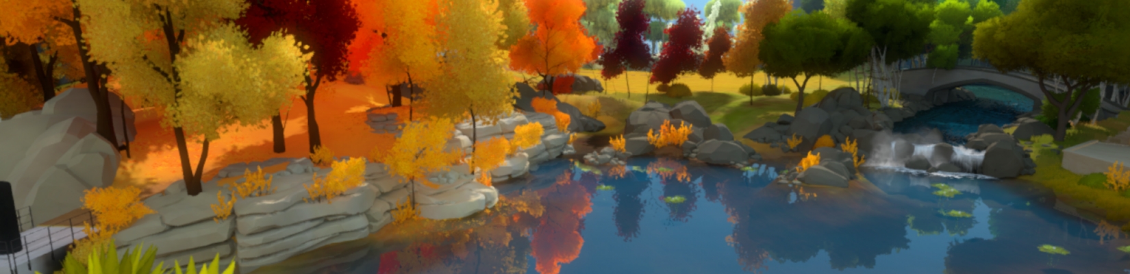 The Witness