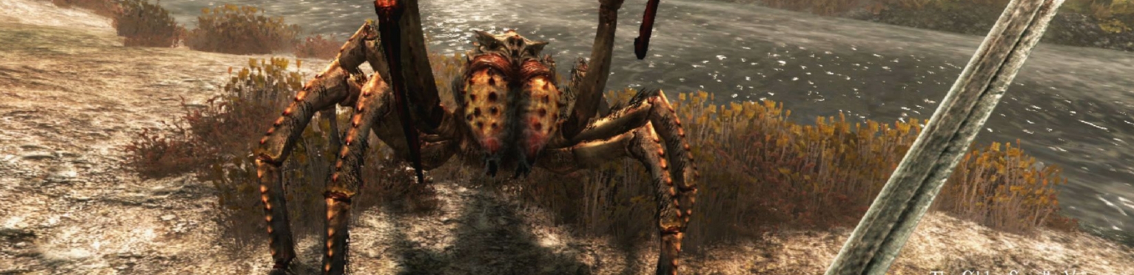 The Elder Scrolls: Skyrim VR