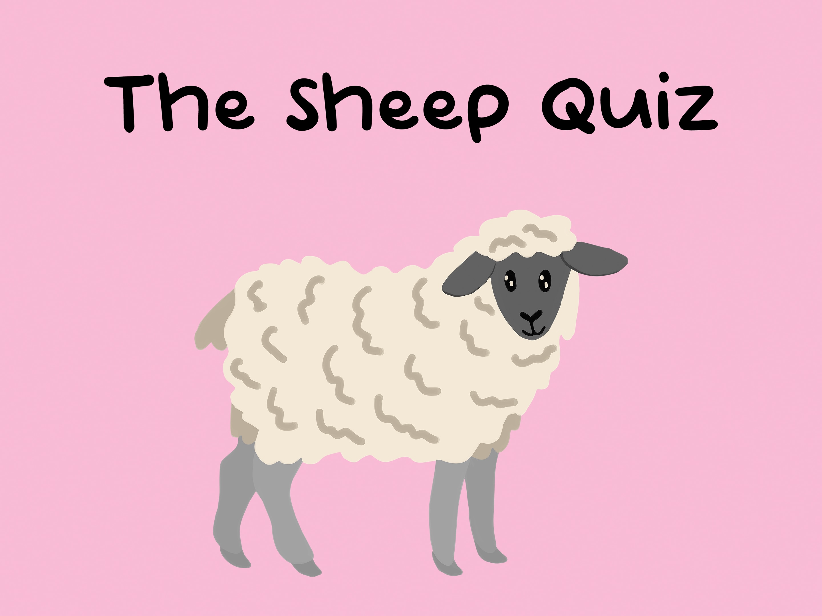 The Sheep Quiz
