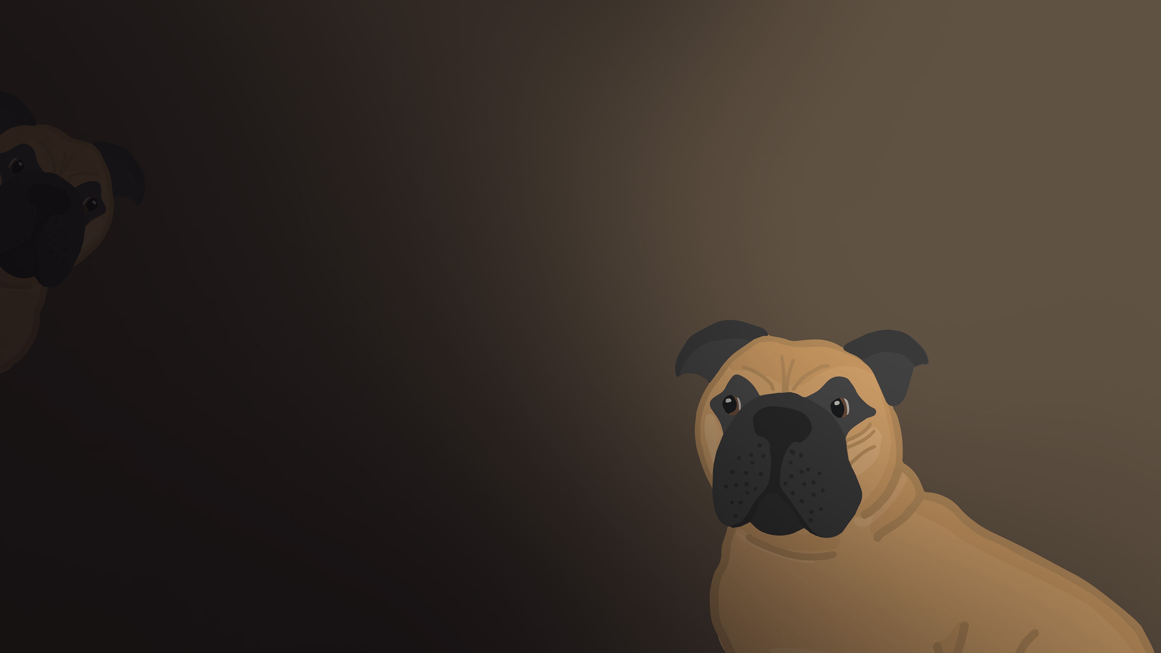 The Dog Quiz