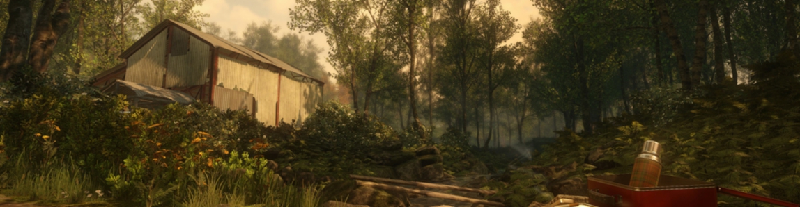 Everybody's Gone to the Rapture