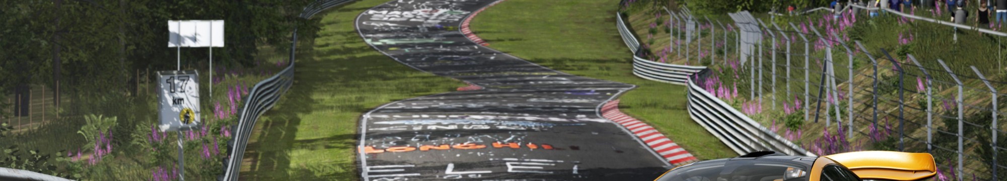 Assetto Corsa Ultimate Edition