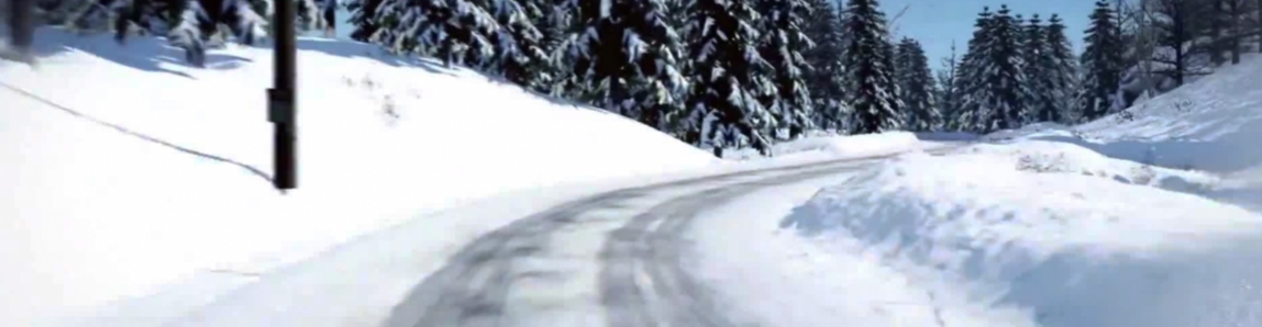 WRC 5