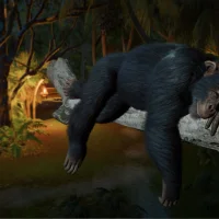 Planet Zoo 2 #39455