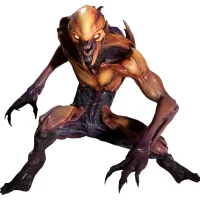 Doom #4206