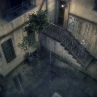 Rain #19540