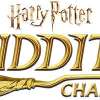 Harry Potter: Quidditch Champions #30668