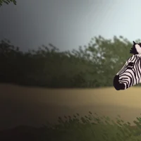 The Zebra Z #31641