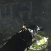 The Last Guardian #4699