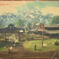 Red Dead Redemption 2 #12813