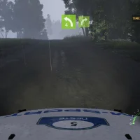 WRC 5 #1317