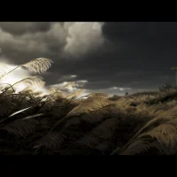 Ghost of Tsushima #11136