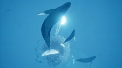 Screenshot ABZÛ