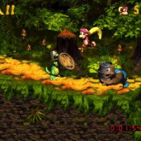 Donkey Kong Country 3: Dixie Kong's Double Trouble! #26169