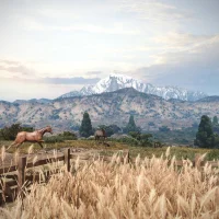 Wild West Online #11416