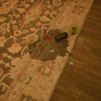 Forensic: M.E. Protocol #29077