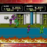 Teenage Mutant Ninja Turtles: The Cowabunga Collection #38977