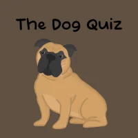 The Dog Quiz #32062