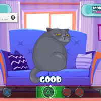 Cat Fun #31231
