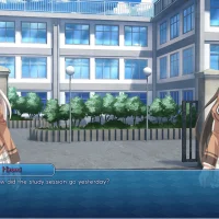 Sakura Swim Club #31939