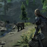 The Elder Scrolls Online: Greymoor #14532