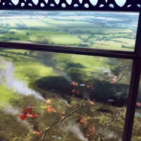 Battlefield 1 #4956