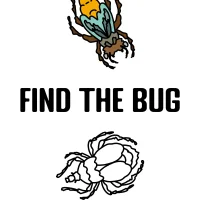 Find the Bug #31393