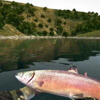 Ultimate Fishing Simulator #12796