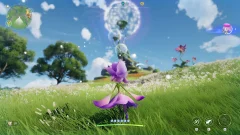 Screenshot Aniimo