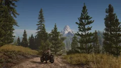 Screenshot Days Gone