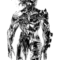 Metal Gear Rising: Revengeance #40520