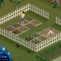 The Sims: Unleashed #20473