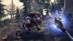 Screenshot The Elder Scrolls Online: Greymoor