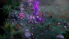 Screenshot Pathfinder: Kingmaker