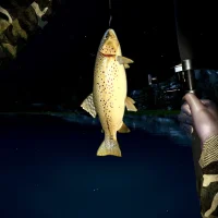 Ultimate Fishing Simulator #12801