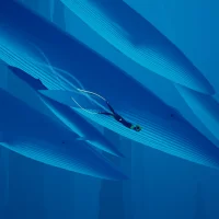 ABZÛ #6091