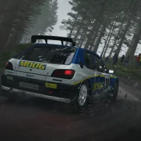 DiRT Rally #3300