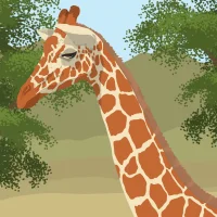 The Giraffe G #31705