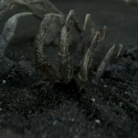 Death Stranding #5168