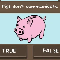 The Pig Quiz #32320