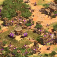 Age of Empires II: Definitive Edition #34712