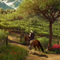 The Witcher 3: Wild Hunt - Blood and Wine #4541