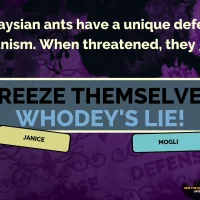 The Jackbox Party Pack 2 #37851