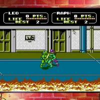 Teenage Mutant Ninja Turtles: The Cowabunga Collection #38984