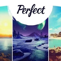 Perfect #7929