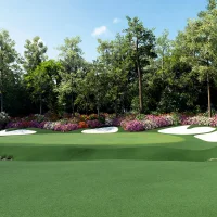 EA Sports PGA Tour #37087