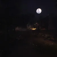Friday the 13th: The Game #4052