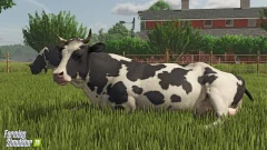 Screenshot Farming Simulator 25
