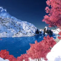 Steep: Road to the Olympics Expansion #11540